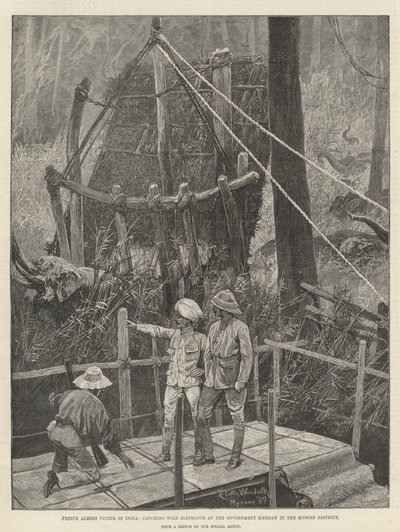 Le prince Albert Victor en Inde, capturant des éléphants sauvages au Khedah gouvernemental dans le district de Mysore - Richard Caton Woodville junior
